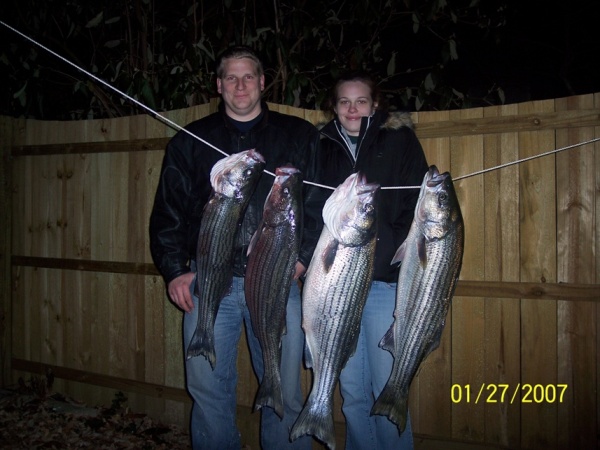 stephen_jessica_fish.jpg